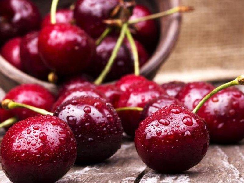 Вишня купить саженцы из питомника в Раменском
