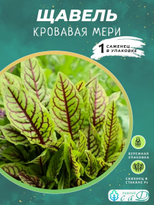 Щавель Кровавая Мэри саженец ЗКС